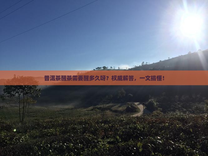普洱茶醒茶需要醒多久呀