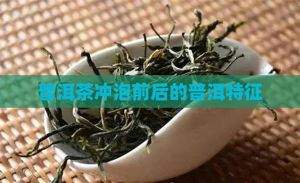 普洱茶的冲泡前后特征