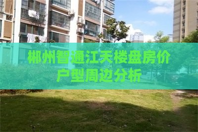 郴州智通江天范围新房
