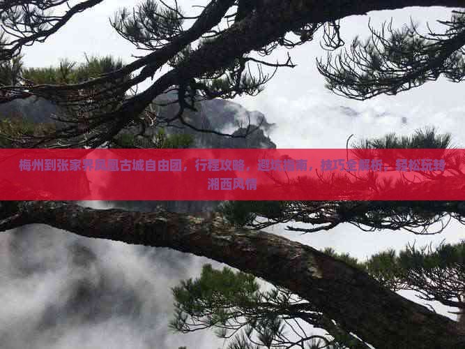 梅州到张家界凤凰古城自由团