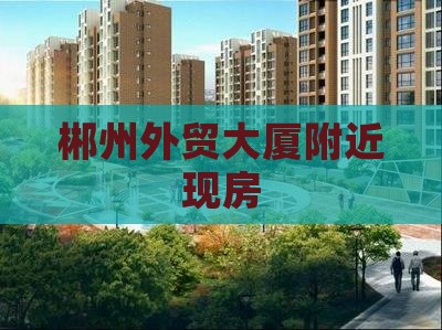 郴州外贸大厦附近现房