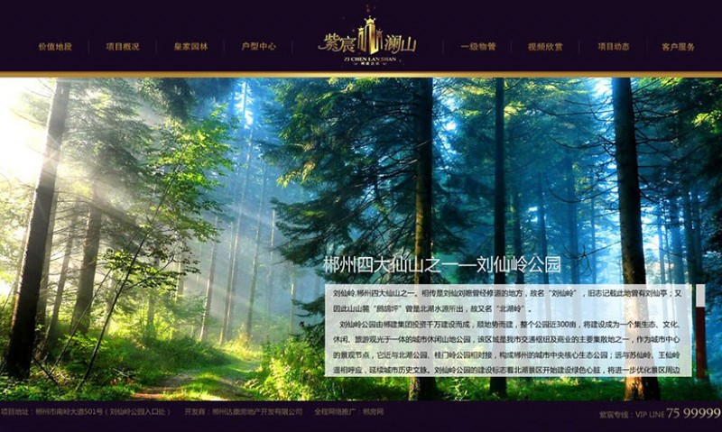 品牌网站建设