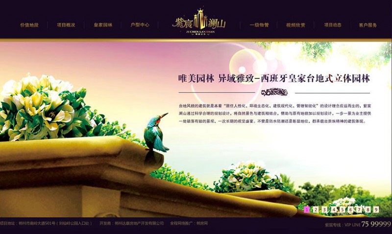 品牌网站建设