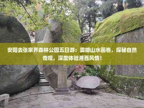 安阳去张家界森林公园五日游