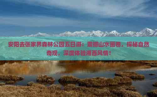 安阳去张家界森林公园五日游